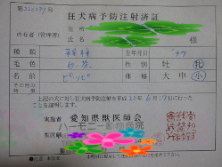BlogPaint