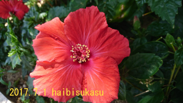 BlogPaint