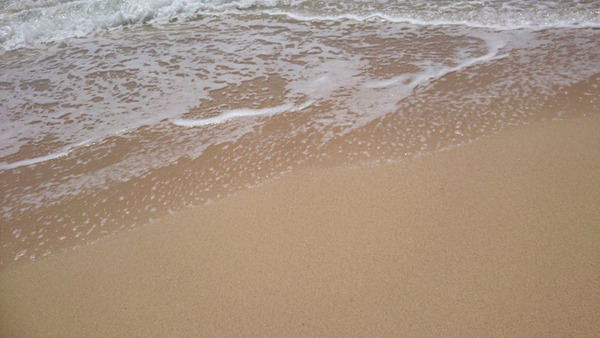 DSC_ビーチ4
