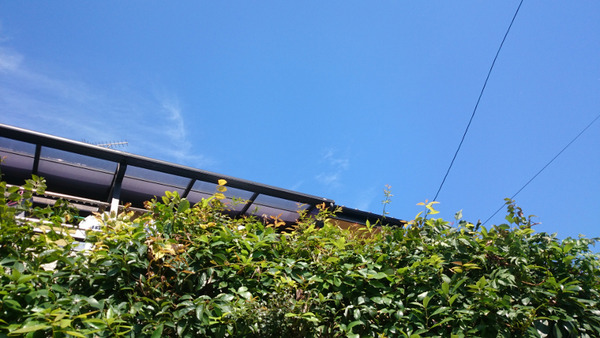 DSC_青空