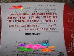 BlogPaint
