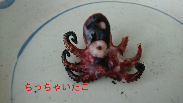 BlogPaint