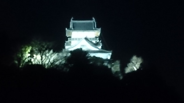 DSC_犬山城1