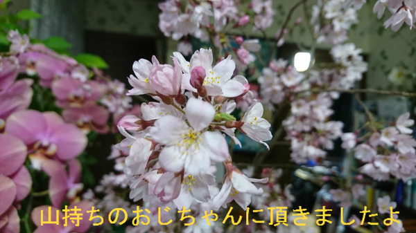 BlogPaint