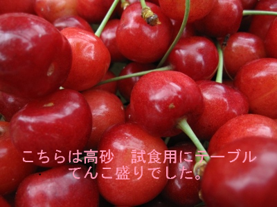 BlogPaint