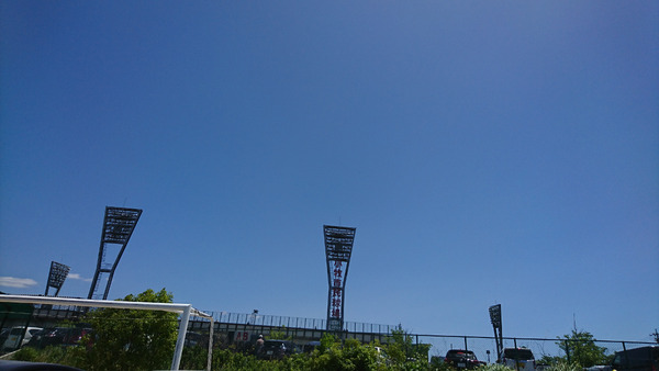 DSC_球場全体