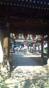 cd5aba8c.jpg