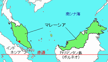 こんなになってるとは知らなんだ