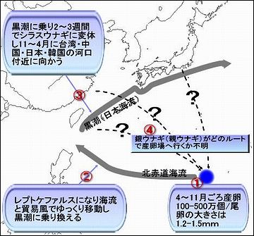 行きは、フィリピン、台湾、沖縄などを観光してから日本に来るようです