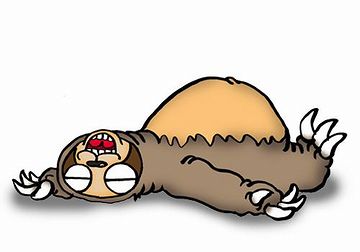大人の昼寝は、ただの怠け者