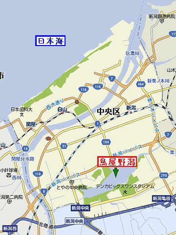 現在の鳥屋野潟は、海岸線から、4キロも離れてます