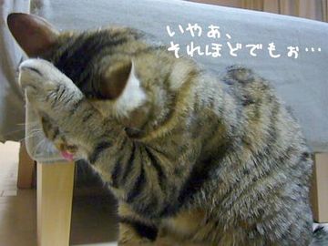 スゴく嬉しそうでした