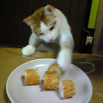 竹輪など、魚を加工した品もいかん