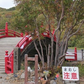 ここでまむしに噛まれたら、三途の川を渡ったっきり