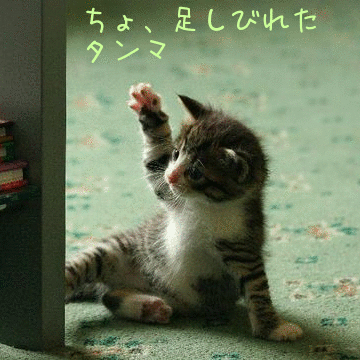 足がしびれたときも……