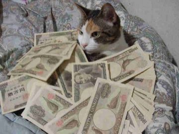 建設業には、いい時代だったわよ