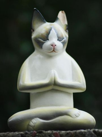 悟ってるんじゃないんですか?