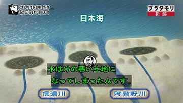 砂丘の間の低地が、やがて海と切り離されて、潟になりました