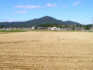 新潟平野