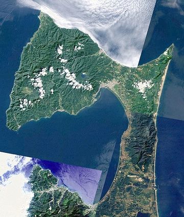 思ってた以上に、柄の部分が細いです