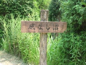 うっかり踏み込むと、ズブズブっていっちゃうこともあるの