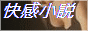 快感小説