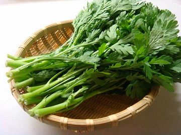 春菊?