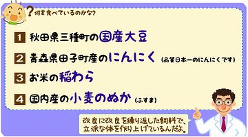馬の餌に、大豆が使われてたようです