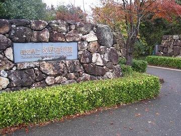 高知県立牧野植物園