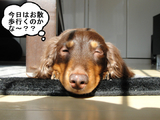 BlogPaint