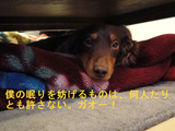 BlogPaint