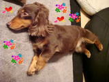 DSC01117.JPG