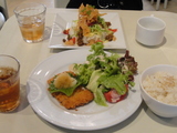 DSC00509