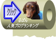人気ブログランキングへ