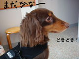 BlogPaint
