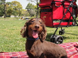 DSC00507