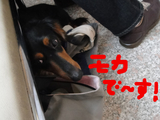 BlogPaint