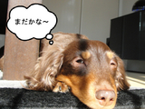 BlogPaint
