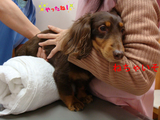 BlogPaint