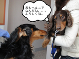 BlogPaint