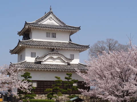 marukamejou