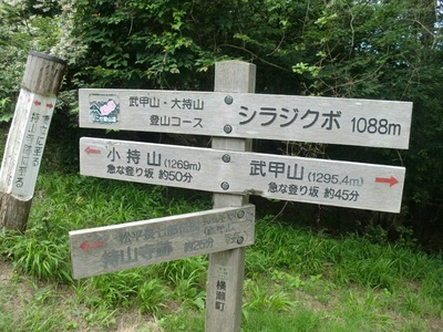 26 (800x600)