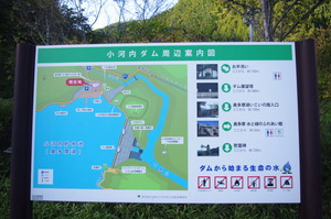IMGP0967