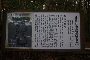 15 (800x531)