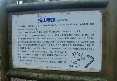 29 (800x553)
