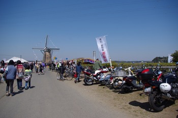 20140412 (10) (800x531)
