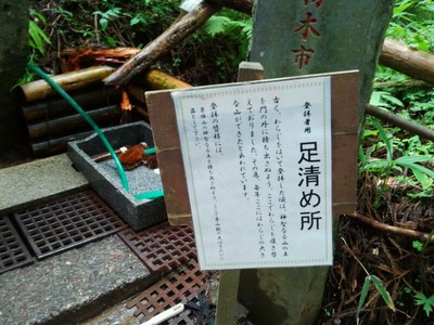 DSCF0355-01 (800x600)