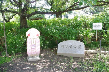 3 (800x531)