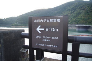 IMGP0987