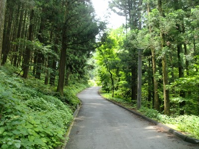 26 (800x600)